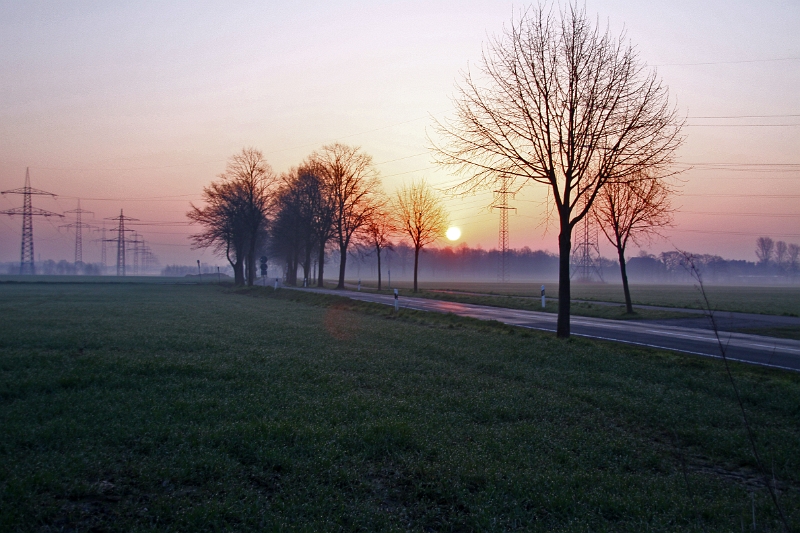 Sonnenaufgang an der Afferder Straße.jpg